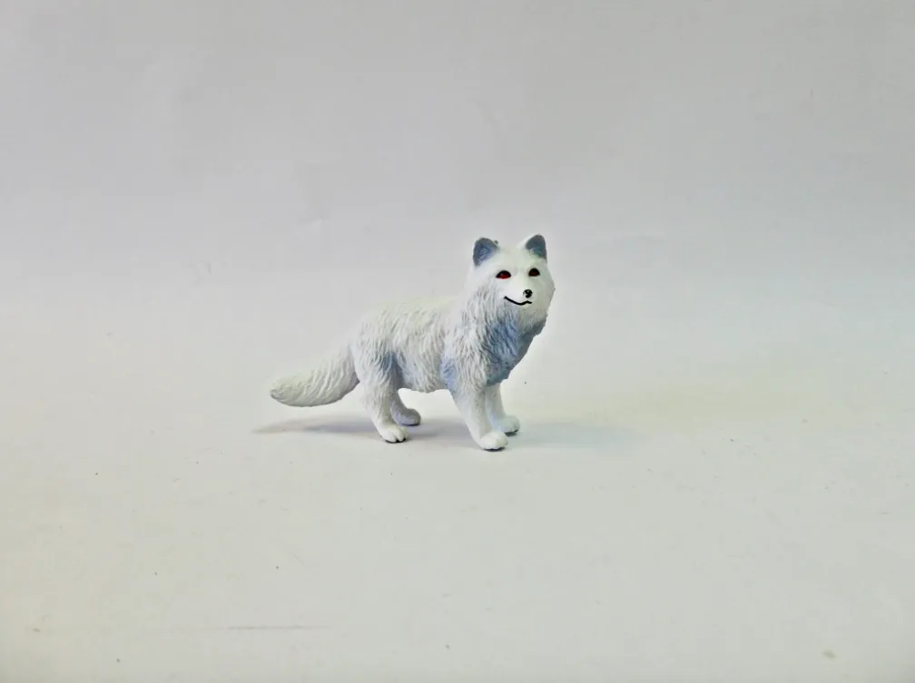 Arctic Fox