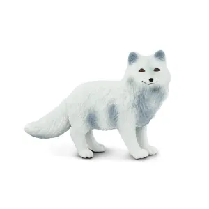 Arctic Fox