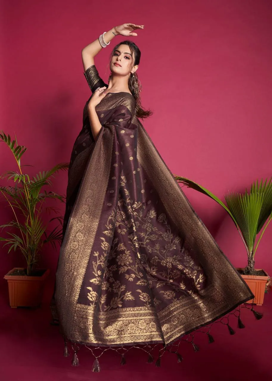 Brown Banarasi Raw Silk Saree