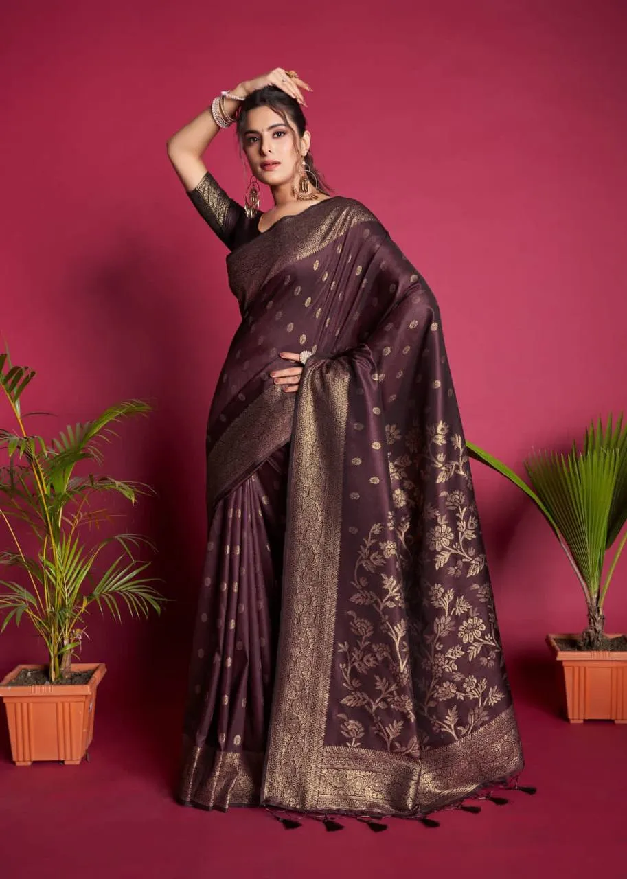 Brown Banarasi Raw Silk Saree