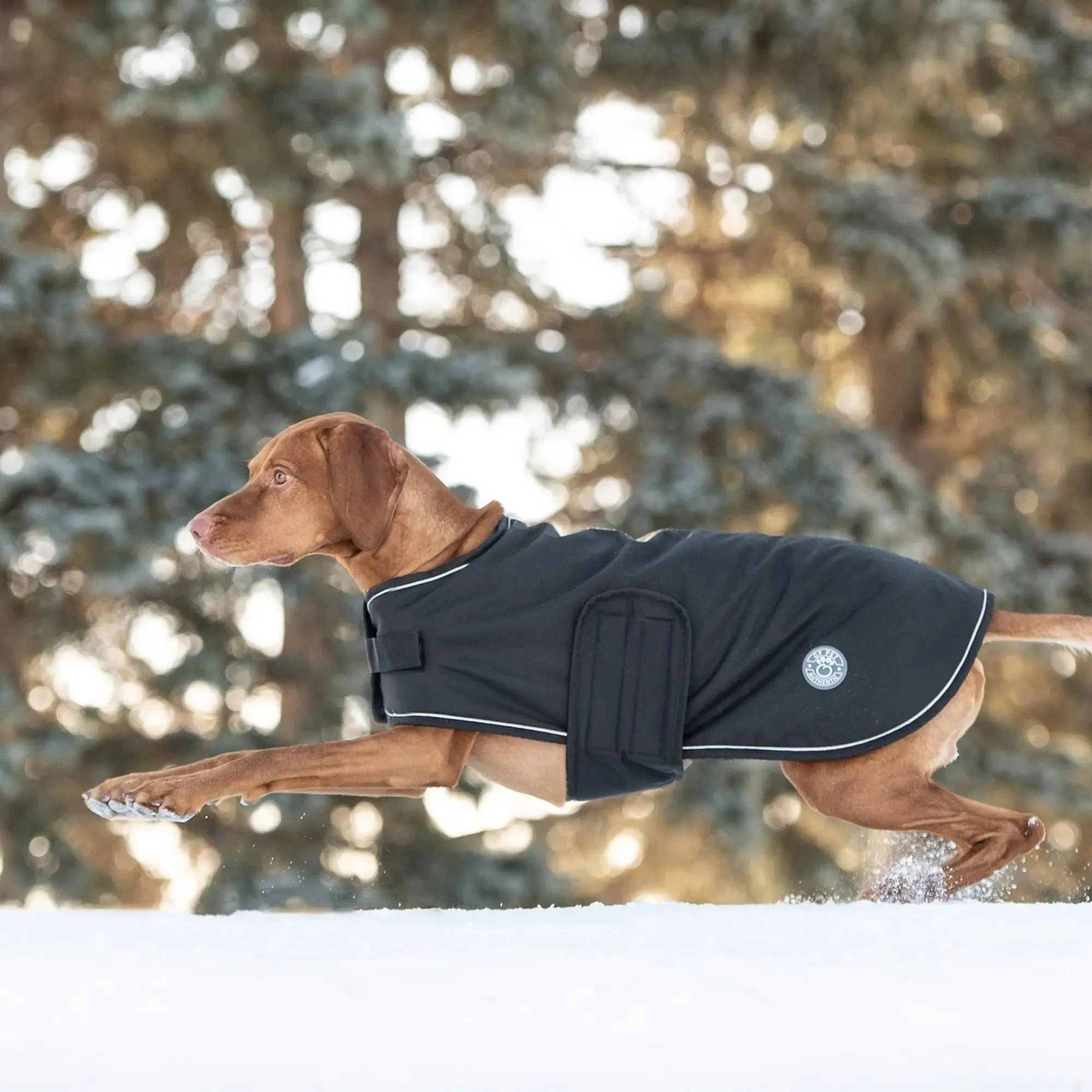 Dog Winter Blanket Jacket - Black