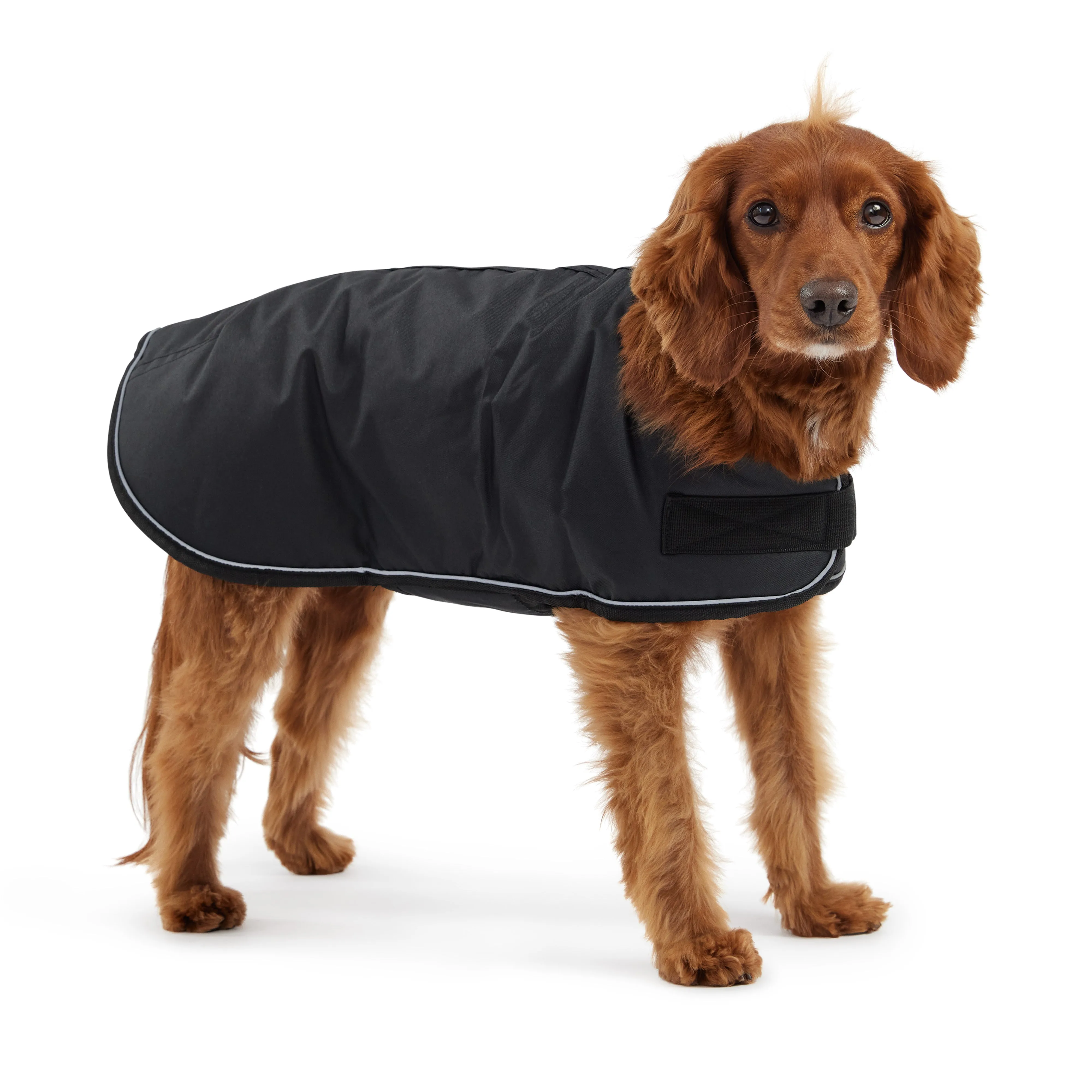 Dog Winter Blanket Jacket - Black