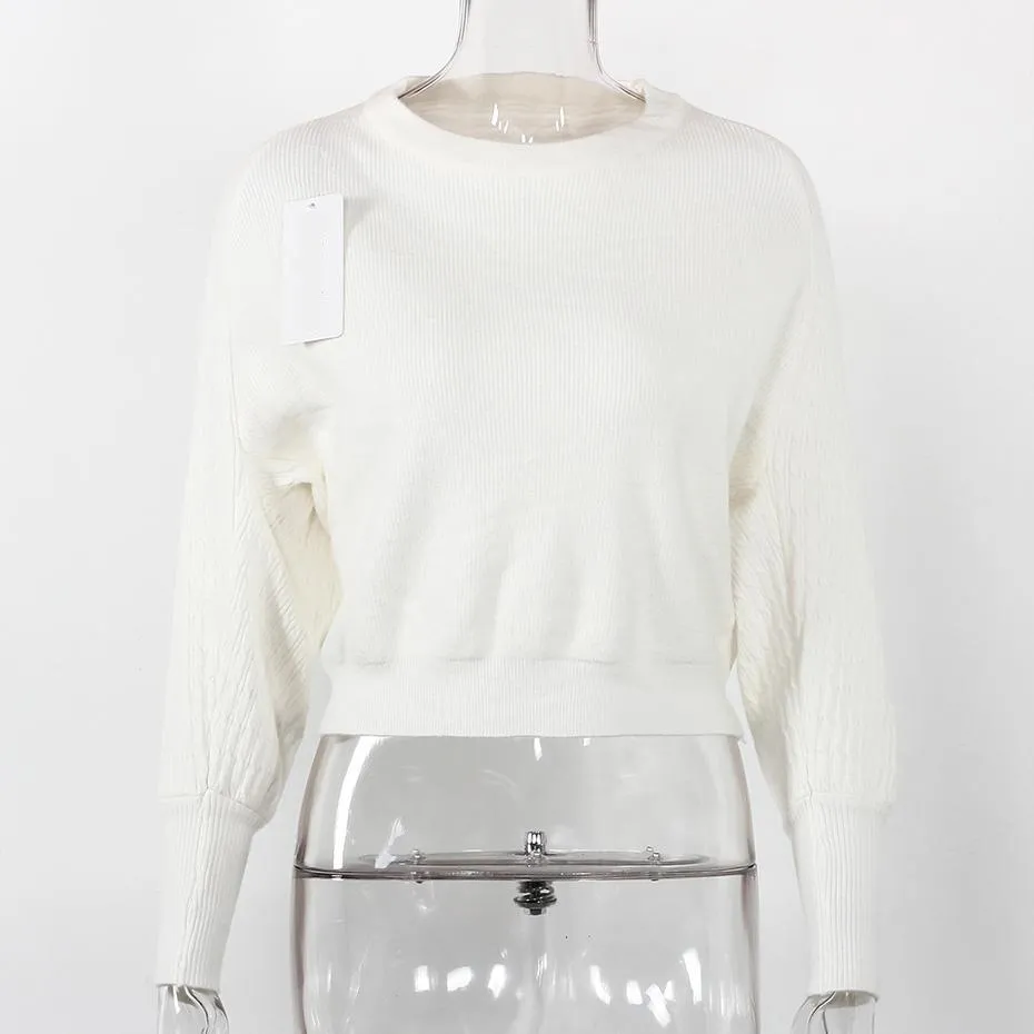 Solid Colored Batwing Long Sleeve Sweater