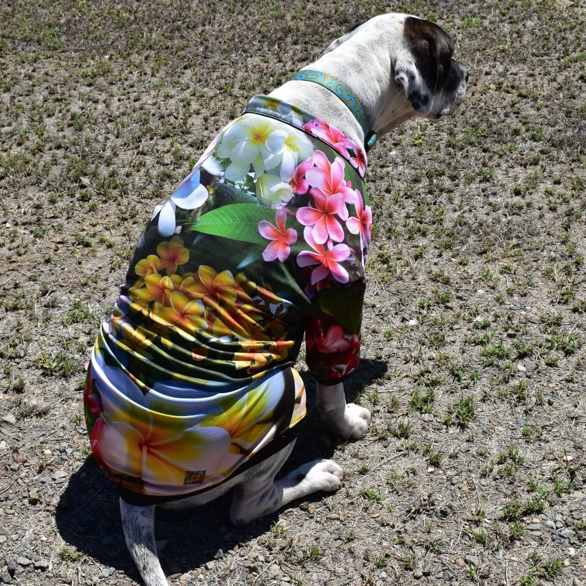 Sun Safe Dog Shirts - Frangipani